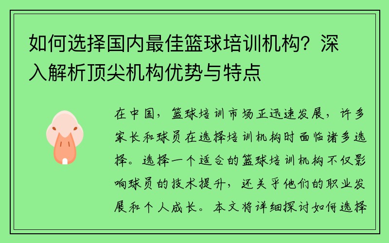 如何选择国内最佳篮球培训机构？深入解析顶尖机构优势与特点