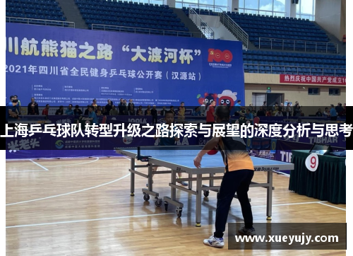 上海乒乓球队转型升级之路探索与展望的深度分析与思考