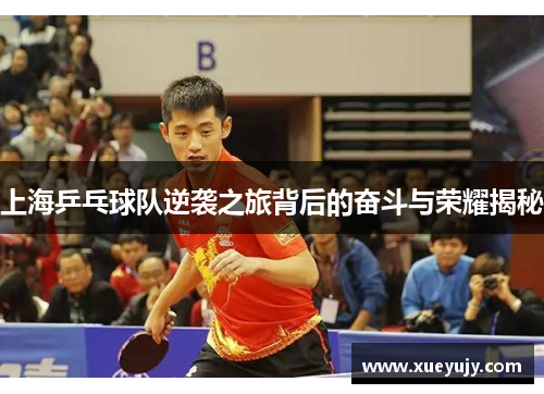 上海乒乓球队逆袭之旅背后的奋斗与荣耀揭秘